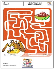 okul öncesi labirent bulmacai çalışma sayfaları